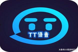 tt语音最新爆料,揭秘神秘功能与未来发展方向